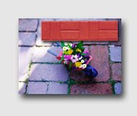 4 x 8 Basket Weave Used Brick Border